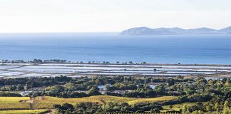 Hyères : 20e édition de la fête de la nature