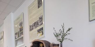 Tanneron : Exposition: Mimosa