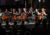 Callian : Le festival de violoncelles Cello Fan
