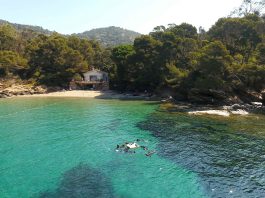 Le Rayol Canadel : Le Jardin Marin ressort palmes, masques et tubas
