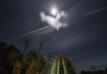 Le Rayol Canadel : Balade nocturne au Domaine