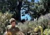 Le Rayol Canadel : « La visite du jardinier »