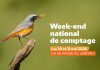 Var : Participez au deuxième comptage annuel national des oiseaux des jardins