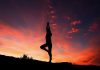 Saint Maximin la Sainte Baume : Yoga dans les vignes