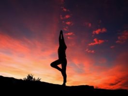 Saint Maximin la Sainte Baume : Yoga dans les vignes