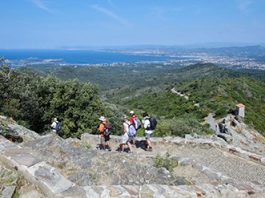 Métropole TPM : Massifs forestiers, une vigilance de tous les instants