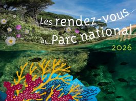 Hyères : Les rendez-vous du Parc national