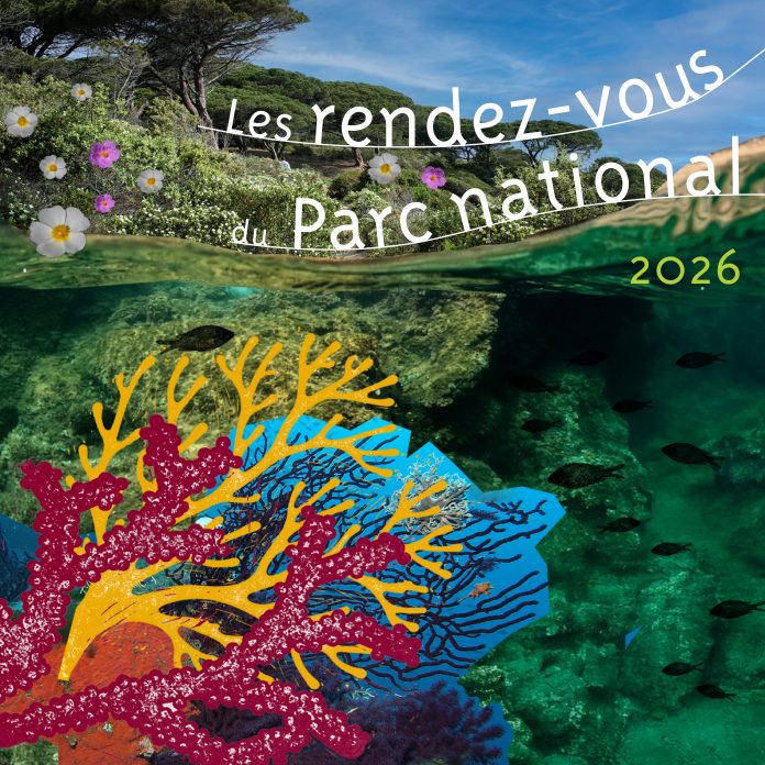 FB_1200_1200_carré