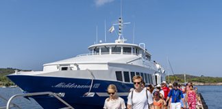 Hyères : Porquerolles, un accès régulé pour une expérience préservée