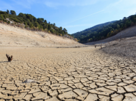 Catastrophes naturelles : comment être indemnisé ?
