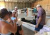 Fayence : planeurs de collection