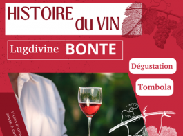 Seillans : L’Histoire du Vin