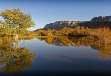 La Roquebrussanne : La trajectoire de l’eau en Sainte-Baume