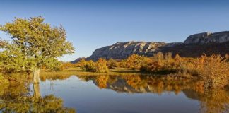 La Roquebrussanne : La trajectoire de l’eau en Sainte-Baume