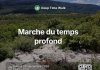 Plan d’Aups Sainte Baume : À la rencontre de l’ histoire de notre planète Terre
