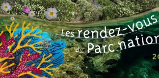 Hyères : Au Parc national l’été n’est pas fini