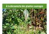TPM : À la découverte des plantes sauvages