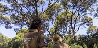 TPM : la prévention des incendies sur le terrain