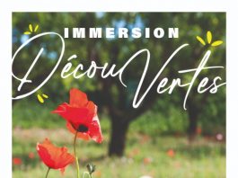 Sainte-Maxime : Immersion DécouVertes