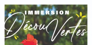 Sainte-Maxime : Immersion DécouVertes