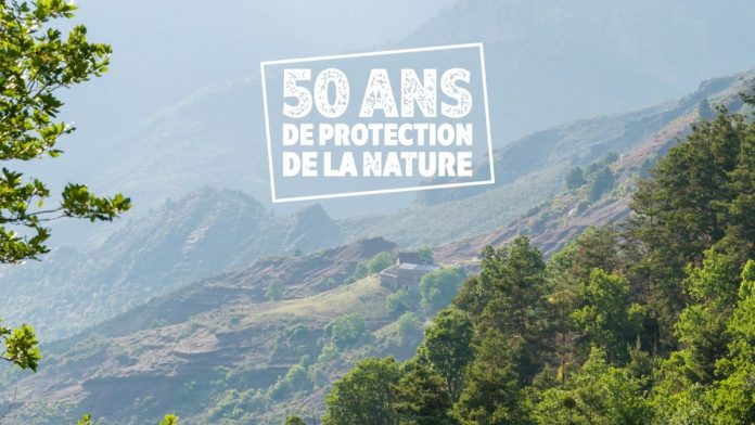 rnr_des_gorges_de_daluis__marc_brulard