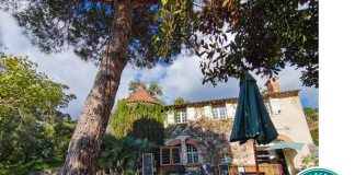 Le Rayol Canadel : Quand le vin s’invite dans l’assiette