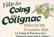Cotignac : Fête du Coing