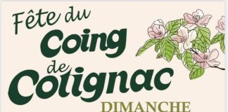 Cotignac : Fête du Coing