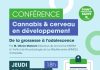 Hyères : Cannabis et cerveau en développement
