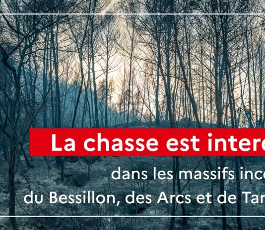 Var : La chasse est interdite dans les secteurs boisés incendiés