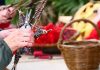 Le Rayol Canadel : Formations pour les particuliers