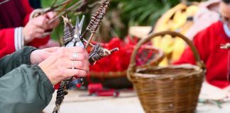 Le Rayol Canadel : Formations pour les particuliers
