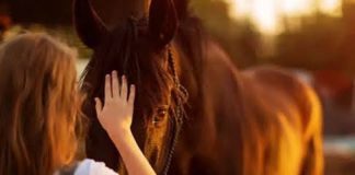 Brignoles : Médiation animale, quand l’Homme rencontre l’animal