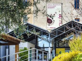 Dracénie : Visites gourmandes