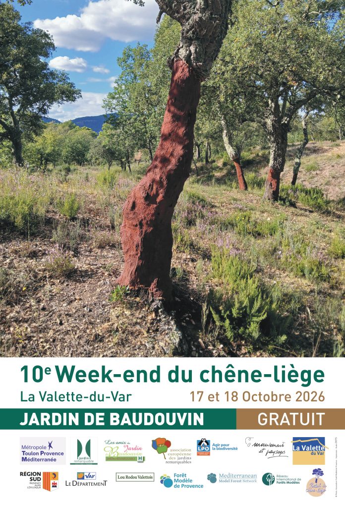 Affiche Baudouvin Week-End du Liège 2026_page-0001