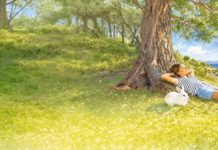 La Valette du Var : Une histoire de Contes